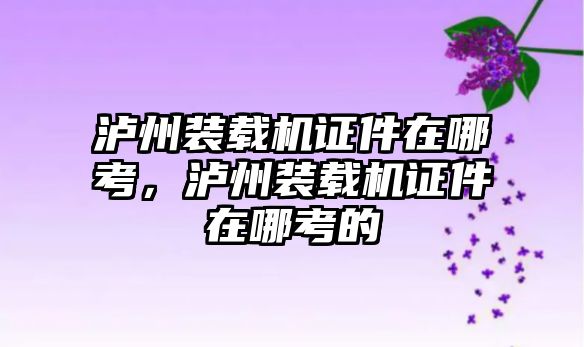 瀘州裝載機證件在哪考，瀘州裝載機證件在哪考的