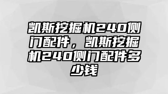 凱斯挖掘機(jī)240側(cè)門配件，凱斯挖掘機(jī)240側(cè)門配件多少錢