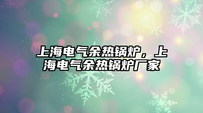 上海電氣余熱鍋爐，上海電氣余熱鍋爐廠家