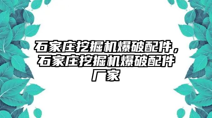 石家莊挖掘機(jī)爆破配件，石家莊挖掘機(jī)爆破配件廠家