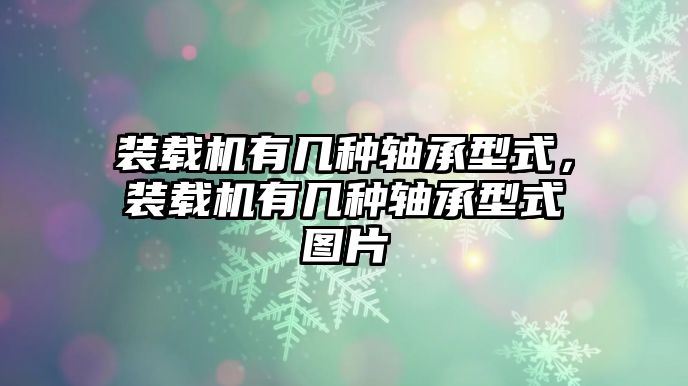 裝載機(jī)有幾種軸承型式，裝載機(jī)有幾種軸承型式圖片