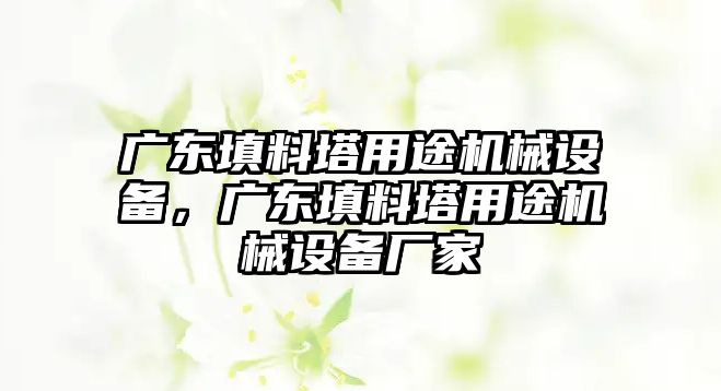 廣東填料塔用途機(jī)械設(shè)備，廣東填料塔用途機(jī)械設(shè)備廠家