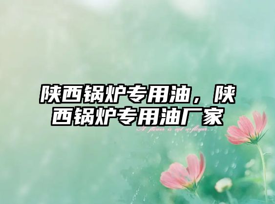 陜西鍋爐專用油，陜西鍋爐專用油廠家