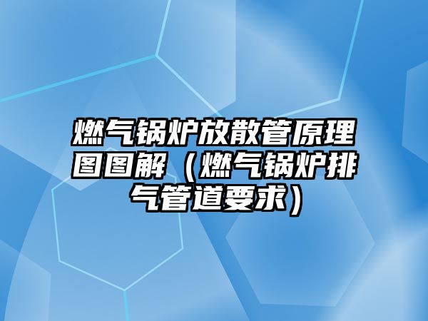 燃?xì)忮仩t放散管原理圖圖解（燃?xì)忮仩t排氣管道要求）