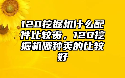 120挖掘機(jī)什么配件比較貴，120挖掘機(jī)哪種賣(mài)的比較好