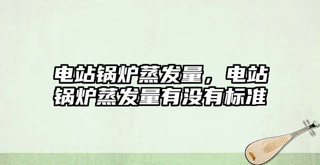 電站鍋爐蒸發(fā)量，電站鍋爐蒸發(fā)量有沒有標(biāo)準(zhǔn)