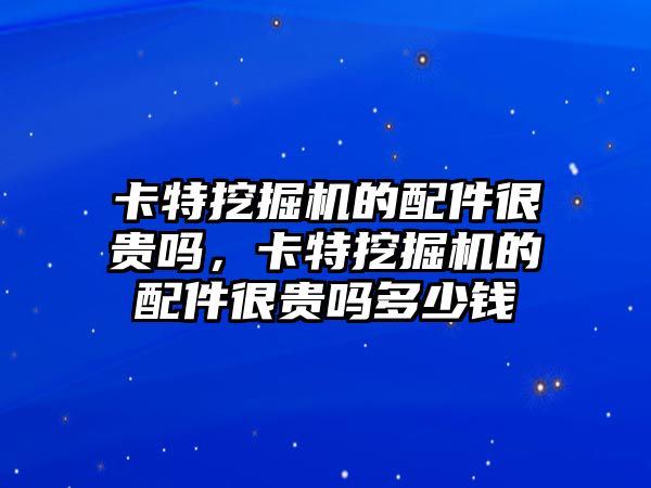 卡特挖掘機的配件很貴嗎，卡特挖掘機的配件很貴嗎多少錢