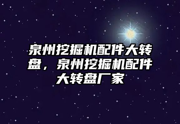 泉州挖掘機配件大轉盤，泉州挖掘機配件大轉盤廠家