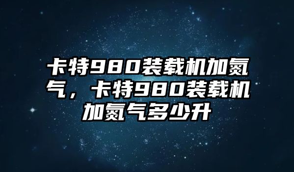 卡特980裝載機加氮氣，卡特980裝載機加氮氣多少升