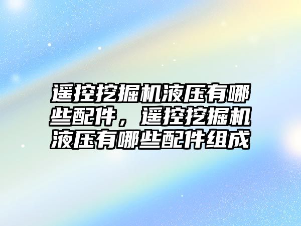 遙控挖掘機液壓有哪些配件，遙控挖掘機液壓有哪些配件組成