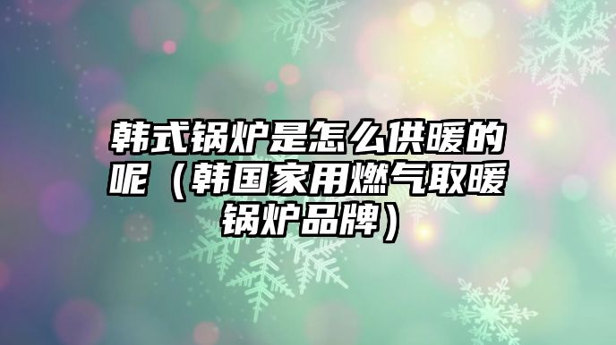 韓式鍋爐是怎么供暖的呢（韓國(guó)家用燃?xì)馊∨仩t品牌）