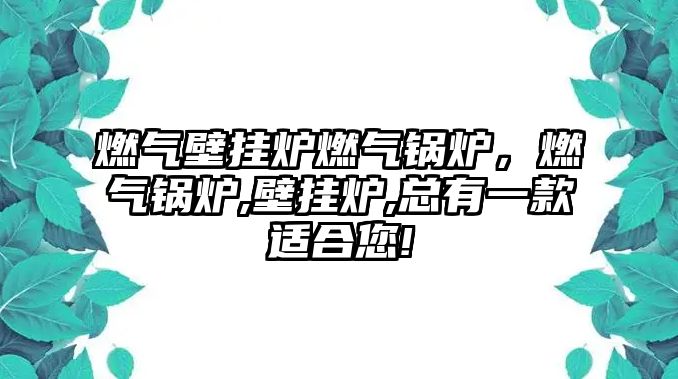 燃氣壁掛爐燃氣鍋爐，燃氣鍋爐,壁掛爐,總有一款適合您!