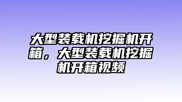 大型裝載機(jī)挖掘機(jī)開(kāi)箱，大型裝載機(jī)挖掘機(jī)開(kāi)箱視頻