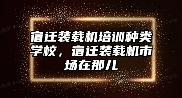 宿遷裝載機培訓(xùn)種類學(xué)校，宿遷裝載機市場在那兒