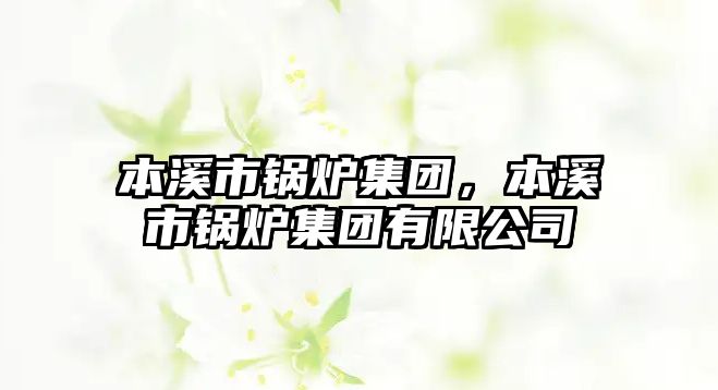 本溪市鍋爐集團(tuán)，本溪市鍋爐集團(tuán)有限公司