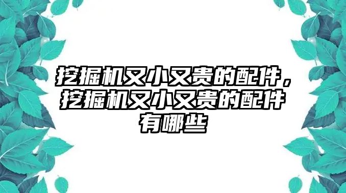 挖掘機(jī)又小又貴的配件，挖掘機(jī)又小又貴的配件有哪些