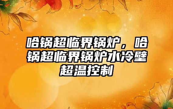 哈鍋超臨界鍋爐，哈鍋超臨界鍋爐水冷壁超溫控制