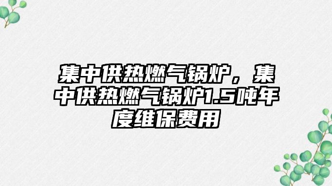 集中供熱燃?xì)忮仩t，集中供熱燃?xì)忮仩t1.5噸年度維保費(fèi)用