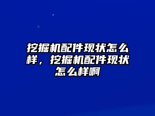 挖掘機(jī)配件現(xiàn)狀怎么樣，挖掘機(jī)配件現(xiàn)狀怎么樣啊