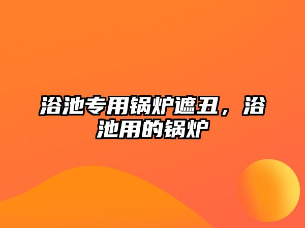 浴池專用鍋爐遮丑，浴池用的鍋爐