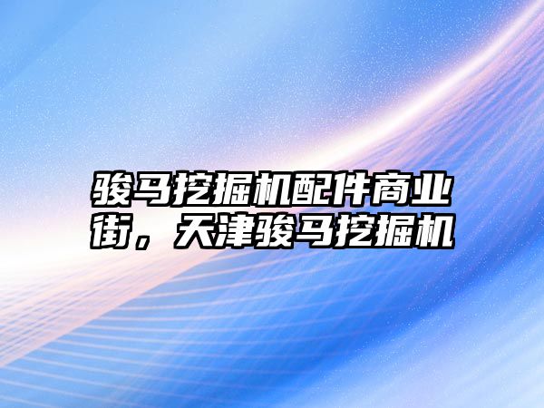 駿馬挖掘機配件商業(yè)街，天津駿馬挖掘機