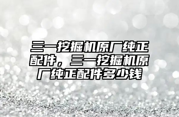 三一挖掘機(jī)原廠純正配件，三一挖掘機(jī)原廠純正配件多少錢(qián)