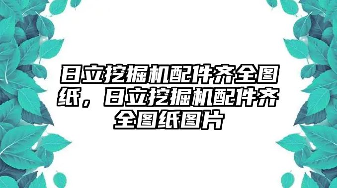 日立挖掘機配件齊全圖紙，日立挖掘機配件齊全圖紙圖片