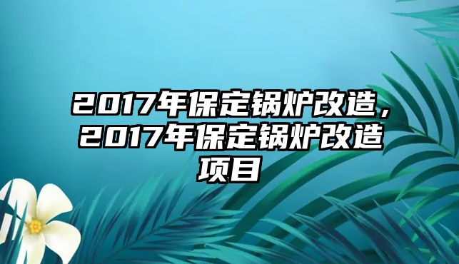 2017年保定鍋爐改造，2017年保定鍋爐改造項(xiàng)目