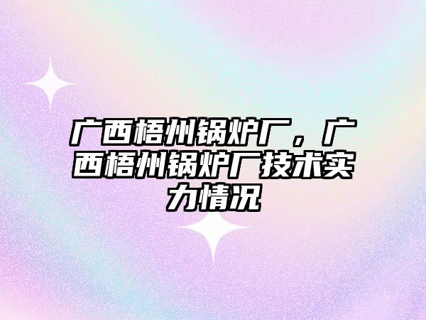 廣西梧州鍋爐廠，廣西梧州鍋爐廠技術實力情況