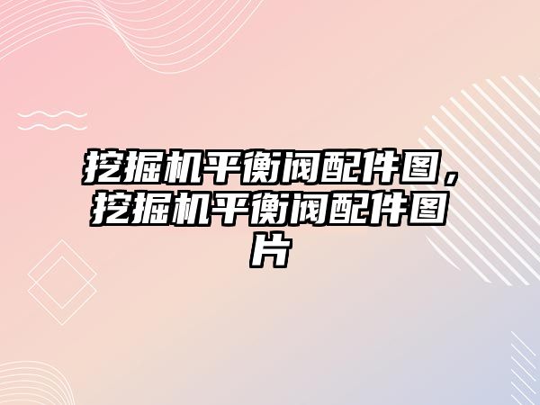 挖掘機平衡閥配件圖，挖掘機平衡閥配件圖片