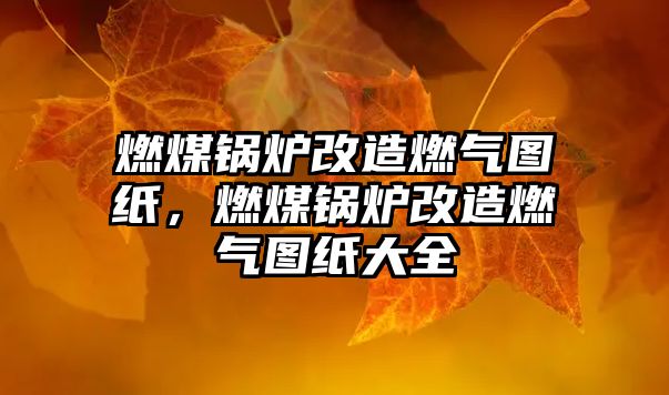 燃煤鍋爐改造燃?xì)鈭D紙，燃煤鍋爐改造燃?xì)鈭D紙大全