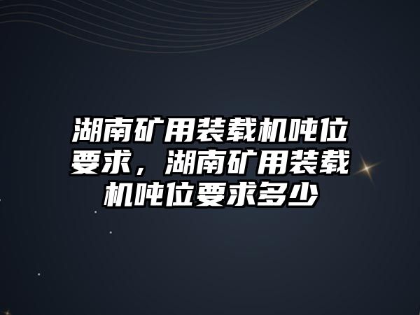 湖南礦用裝載機噸位要求，湖南礦用裝載機噸位要求多少