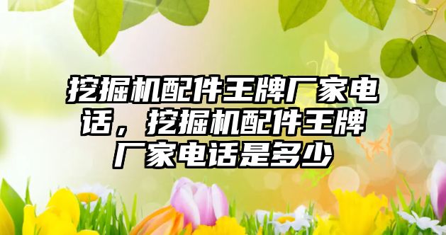 挖掘機配件王牌廠家電話，挖掘機配件王牌廠家電話是多少