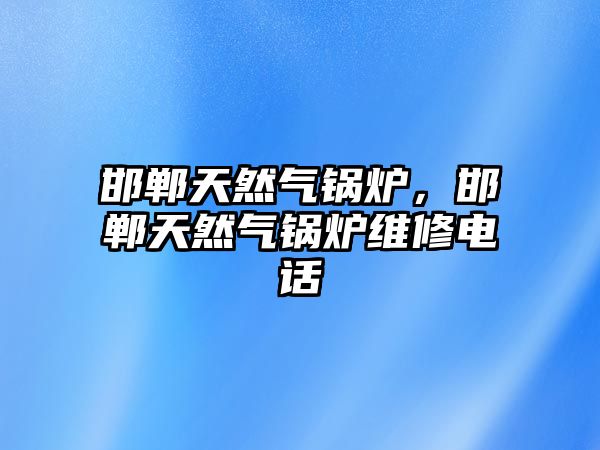 邯鄲天然氣鍋爐，邯鄲天然氣鍋爐維修電話