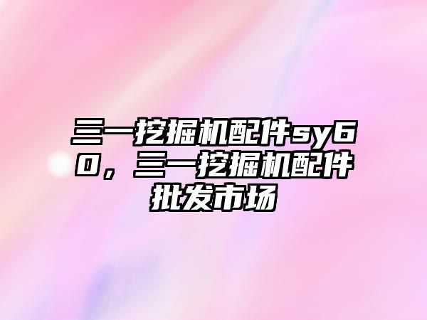 三一挖掘機(jī)配件sy60，三一挖掘機(jī)配件批發(fā)市場(chǎng)