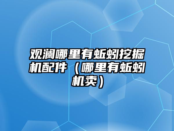 觀瀾哪里有蚯蚓挖掘機配件（哪里有蚯蚓機賣）