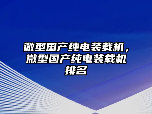 微型國產(chǎn)純電裝載機(jī)，微型國產(chǎn)純電裝載機(jī)排名