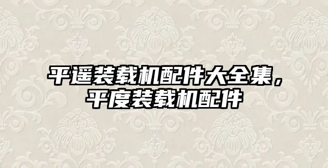 平遙裝載機配件大全集，平度裝載機配件