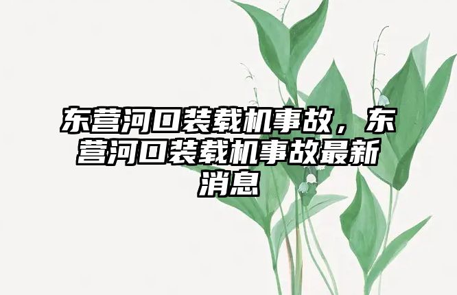 東營河口裝載機事故，東營河口裝載機事故最新消息