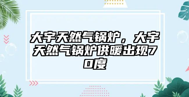 大宇天然氣鍋爐，大宇天然氣鍋爐供暖出現(xiàn)70度