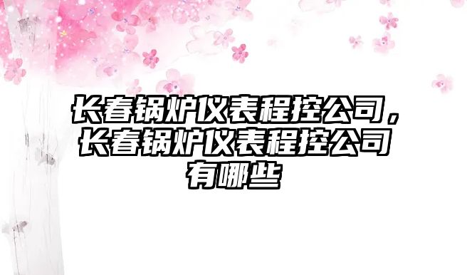 長(zhǎng)春鍋爐儀表程控公司，長(zhǎng)春鍋爐儀表程控公司有哪些