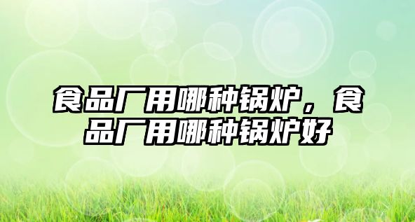 食品廠用哪種鍋爐，食品廠用哪種鍋爐好