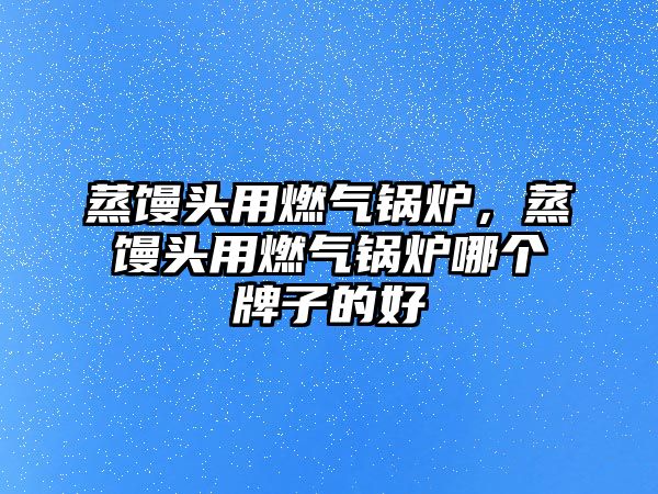 蒸饅頭用燃氣鍋爐，蒸饅頭用燃氣鍋爐哪個牌子的好