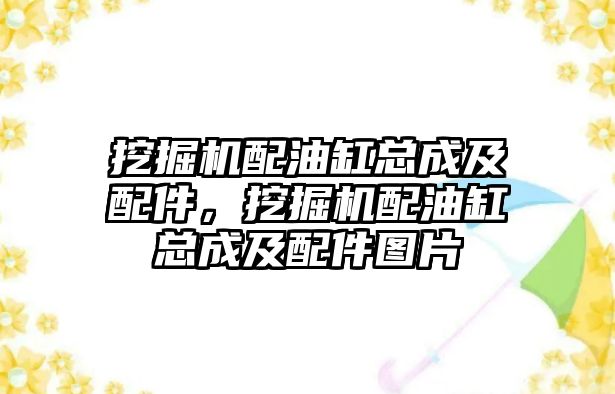 挖掘機配油缸總成及配件，挖掘機配油缸總成及配件圖片