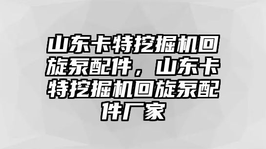 山東卡特挖掘機回旋泵配件，山東卡特挖掘機回旋泵配件廠家