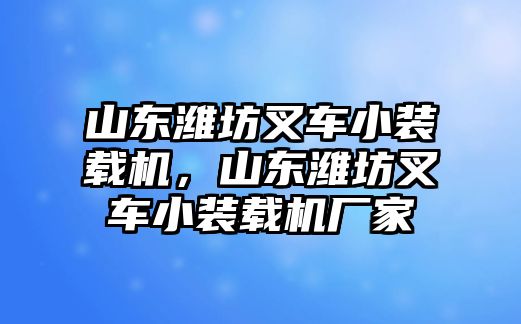 山東濰坊叉車(chē)小裝載機(jī)，山東濰坊叉車(chē)小裝載機(jī)廠家