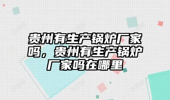 貴州有生產鍋爐廠家嗎，貴州有生產鍋爐廠家嗎在哪里