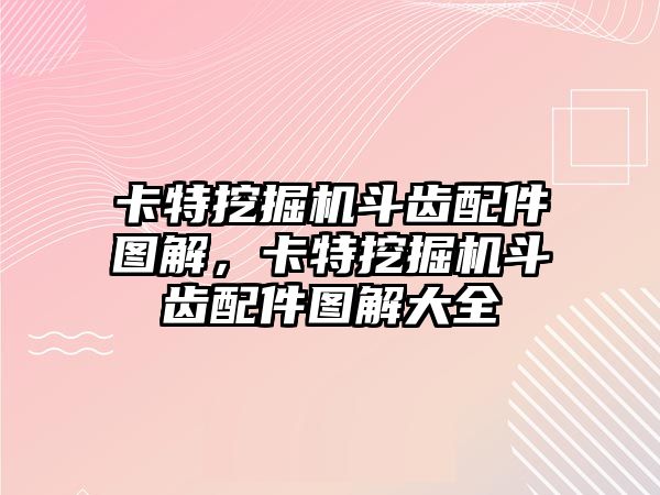 卡特挖掘機(jī)斗齒配件圖解，卡特挖掘機(jī)斗齒配件圖解大全