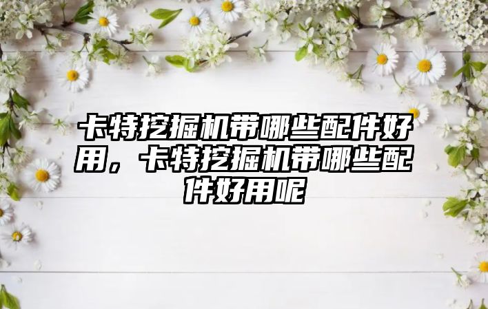卡特挖掘機帶哪些配件好用，卡特挖掘機帶哪些配件好用呢