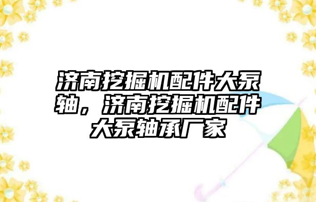 濟南挖掘機配件大泵軸，濟南挖掘機配件大泵軸承廠家